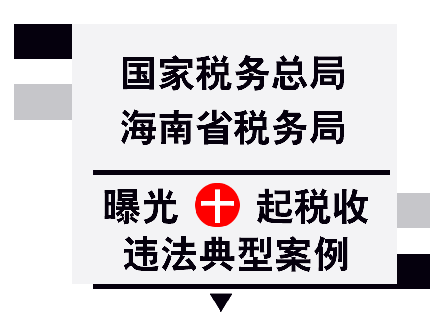 税务海南省第八次党代会精神_海南税务_海南税务电话