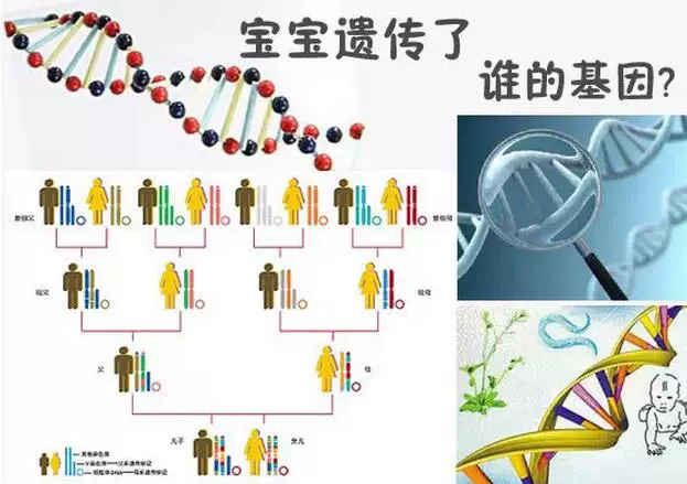 测宝宝生辰八字五行查询_测测你生啥宝宝_测宝宝生辰八字免费