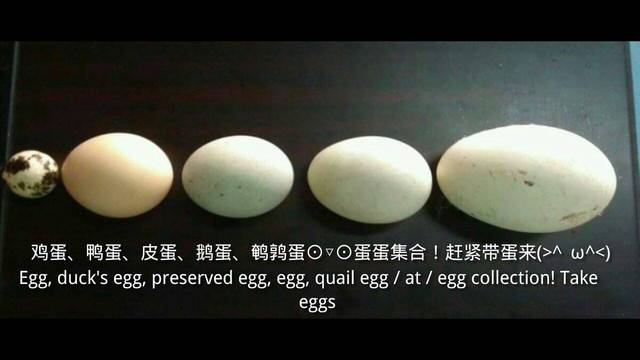 蛋蛋大乱斗游戏_蛋蛋大乱斗_蛋蛋大乱斗能联机吗