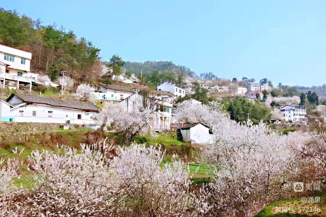 邦克山_邦克山碧蓝航线_邦克山号巡洋舰