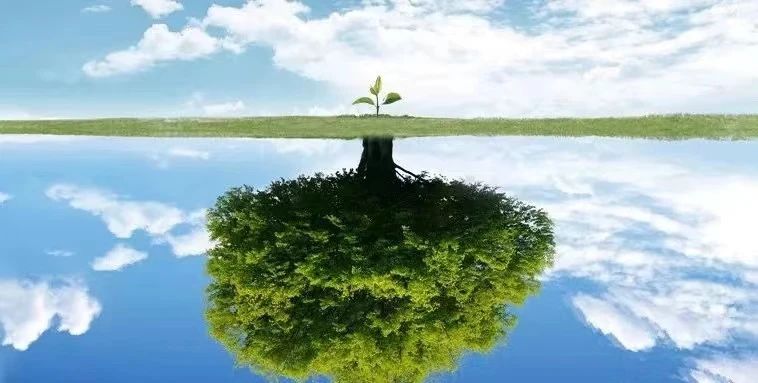 树世界破解版下载_树世界上_世界之树