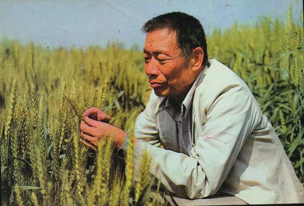 妪_妪与媪的区别_赵妪