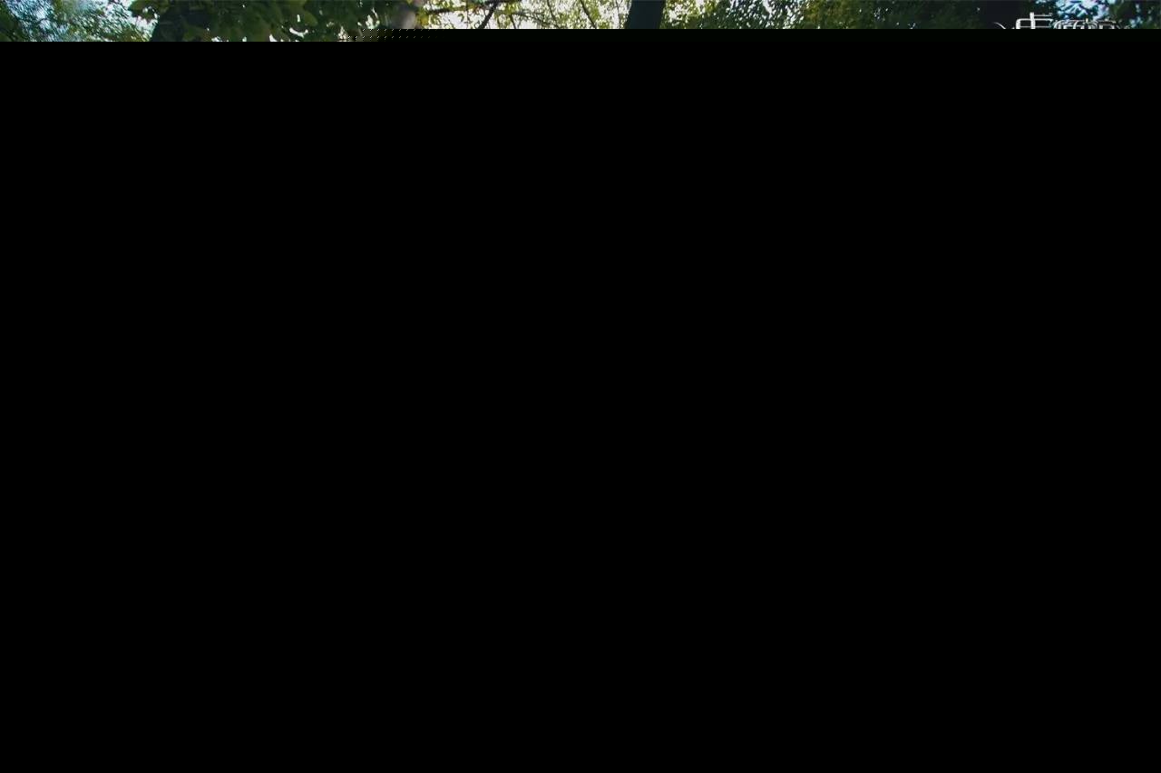 虞姬连招顺序数字_虞姬连招顺序_顺序连招虞姬怎么打