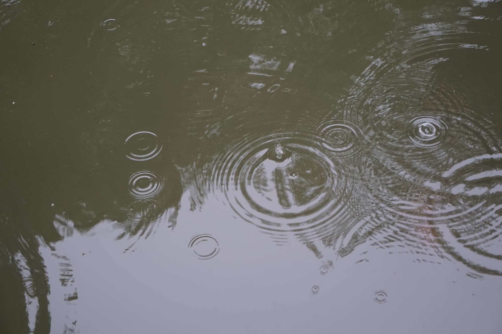 下雨天气指令_mc下雨指令_我的世界下雨指令