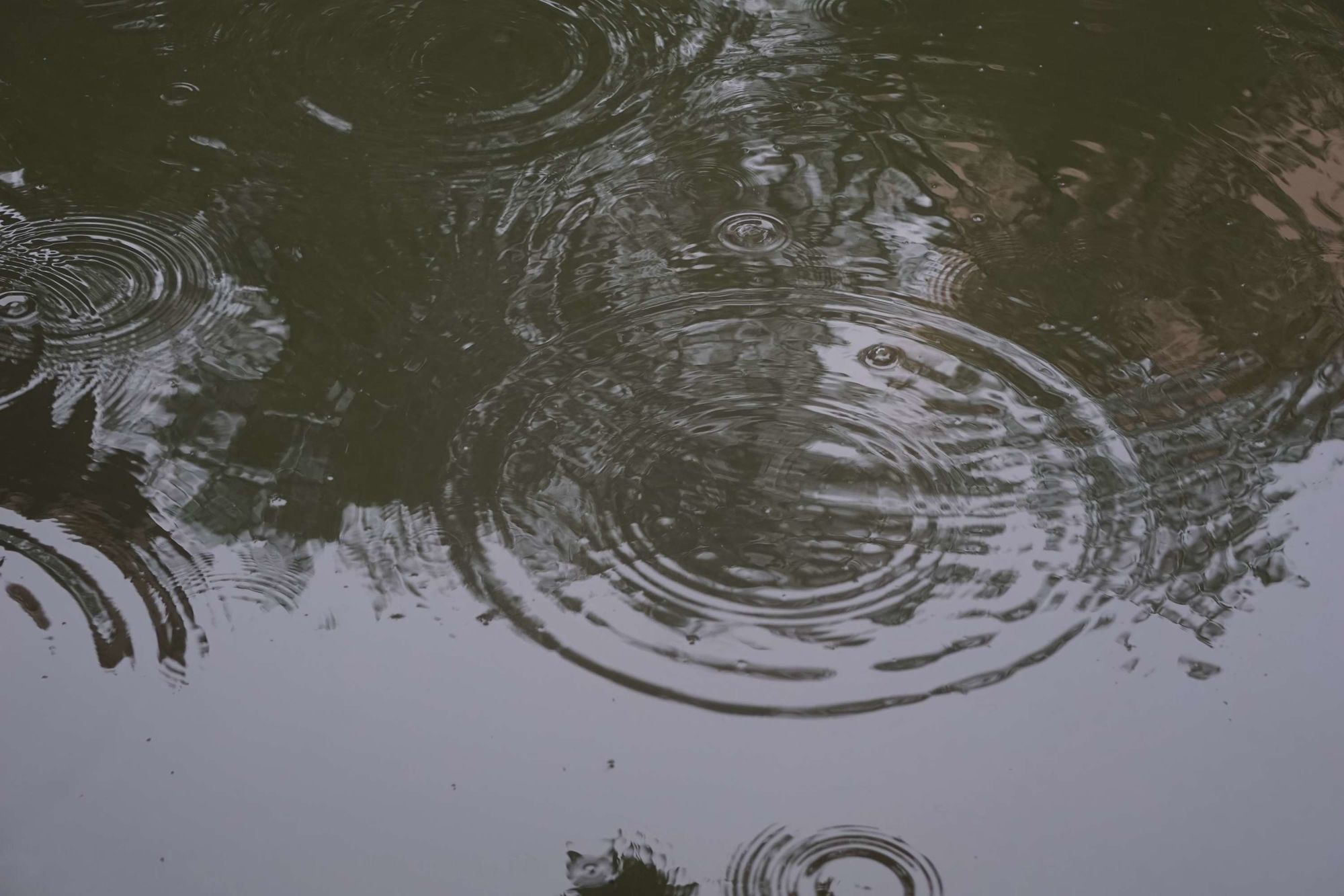我的世界下雨指令_mc下雨指令_下雨天气指令