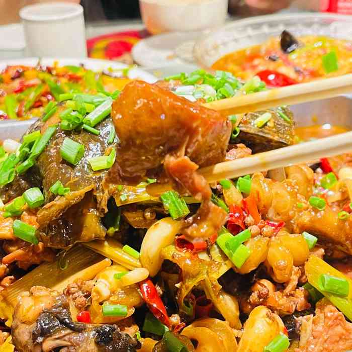 一款很老的鸡的游戏_老鸡模拟器_下载老版手机版吃鸡游戏