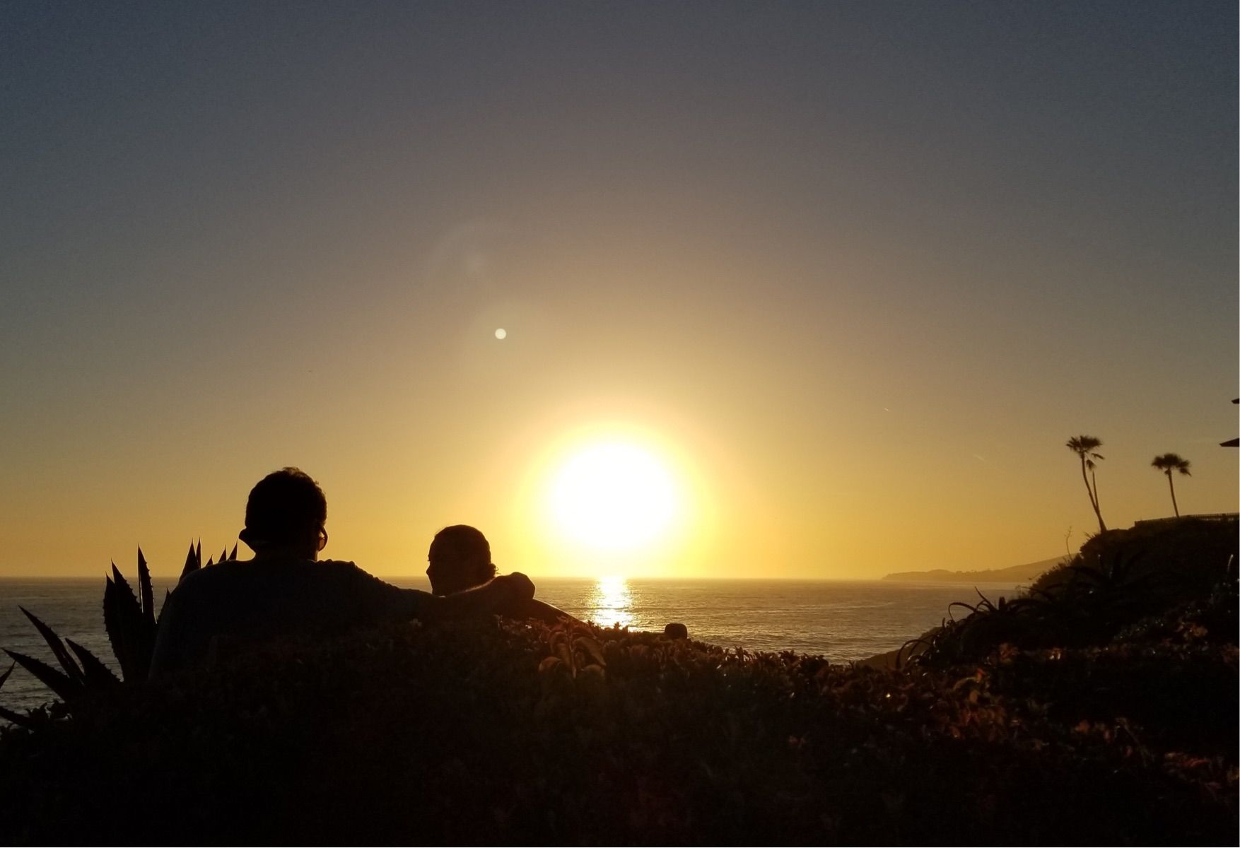 夕阳无限手机游戏怎么玩_夕阳无限手机游戏_夕阳无限美图