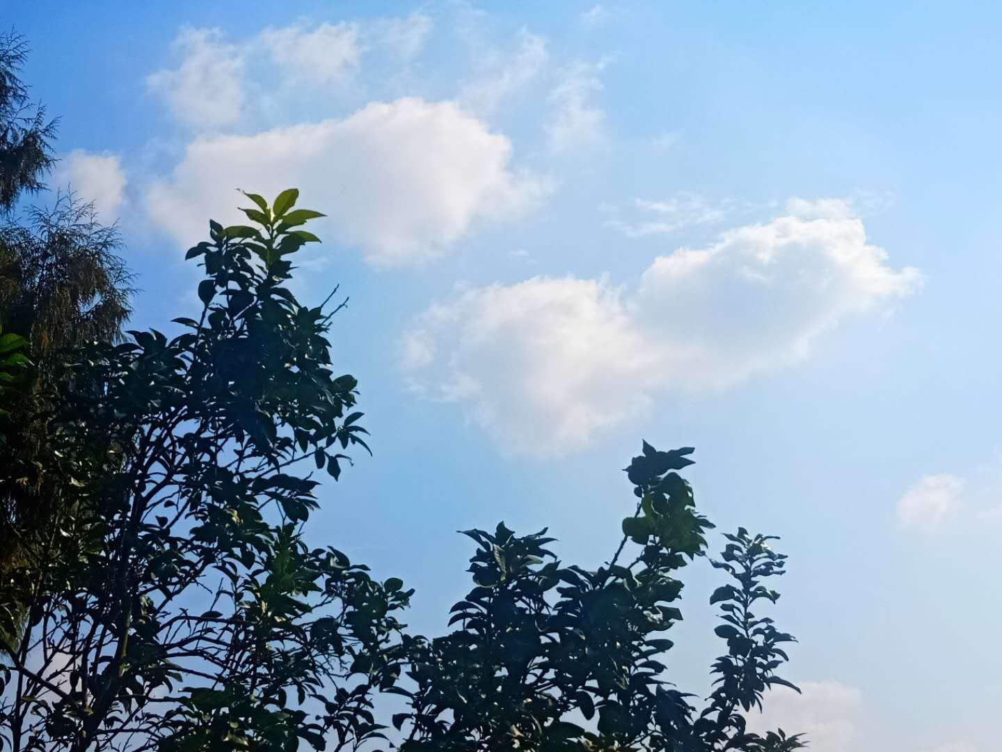 天天游戏手机摄影_摄影手机游戏软件_摄影手机游戏有哪些