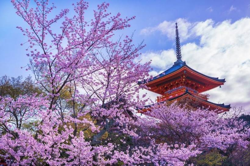 暑假时间表制定图_暑假每天时间安排表_暑假时间安排表模板