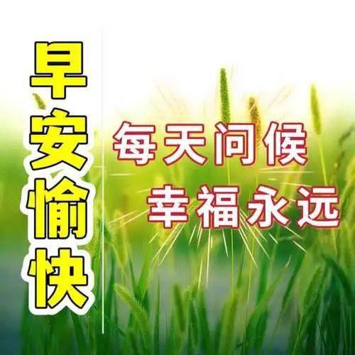 八云紫_八云紫为什么叫紫妈_八云紫立绘