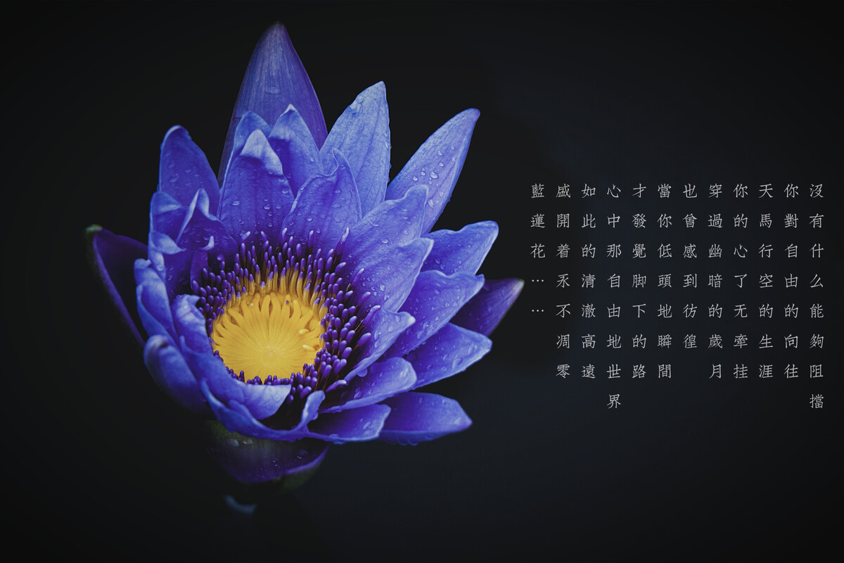 天邪鬼绿喜欢吃什么_天邪鬼绿_哪里有天邪鬼绿