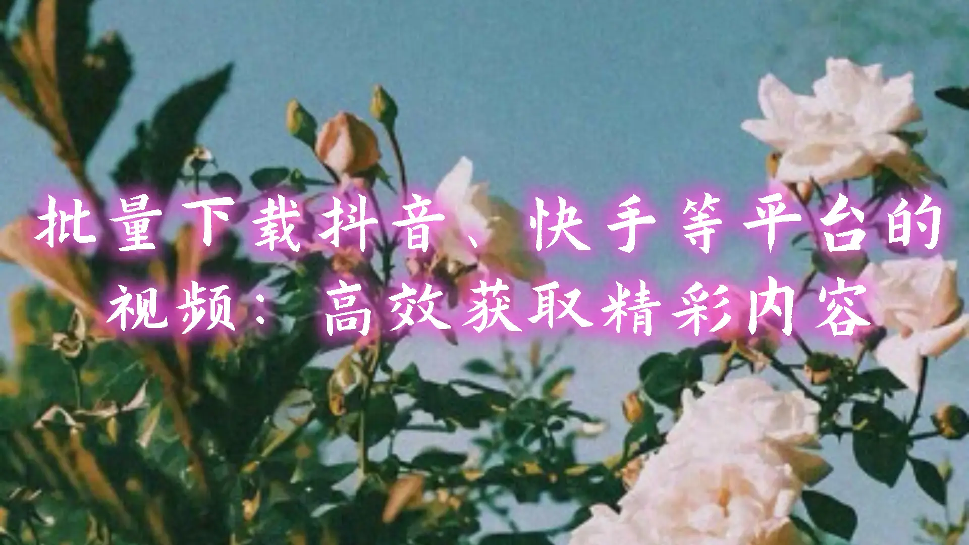 如何快速取消快手关注_快手怎么取消关注_猪妖一键取消快手关注