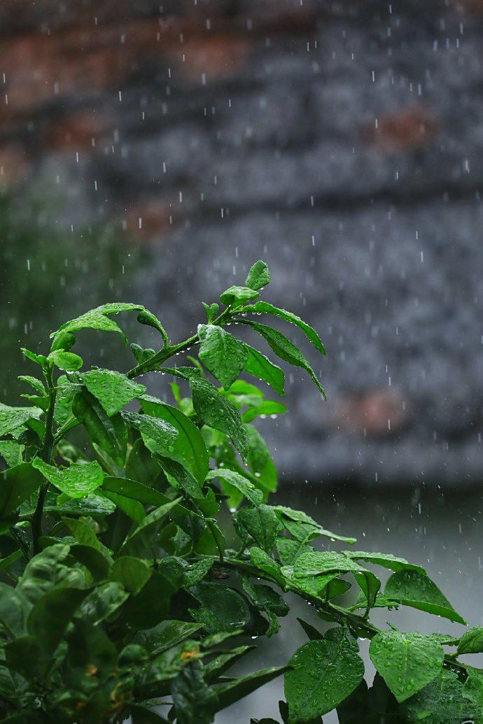 天气梅雨季节_天气预报梅雨季节_梅雨天气