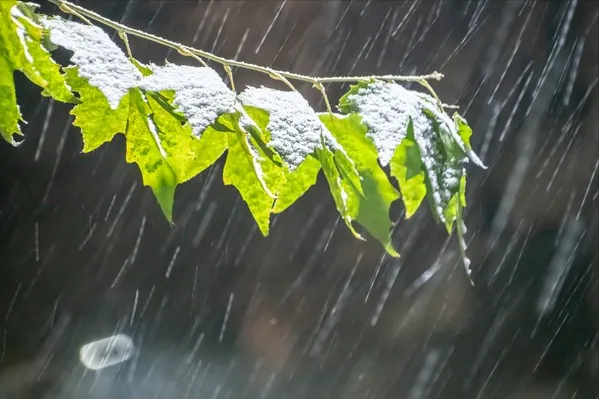 天气预报梅雨季节_梅雨天气_天气梅雨季节