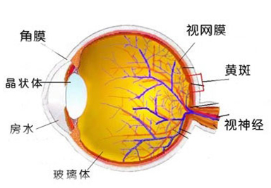 手游对眼睛的伤害_手机伤眼睛图片大全_游戏机和手机一样伤眼睛吗