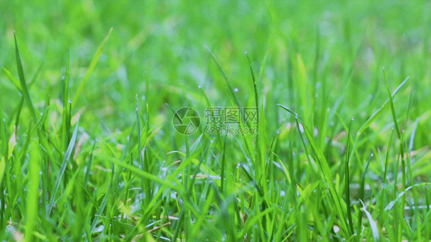 雨后故事gif原图_雨后小故事gif_雨后小故事gif完整版