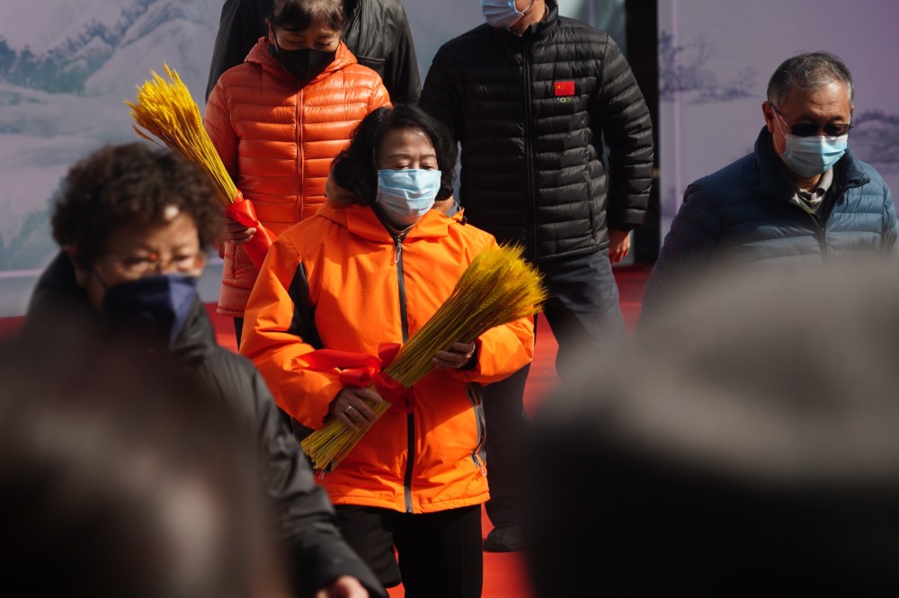 春分三候是什么_春分候鸟归_春分三候的候是什么意思