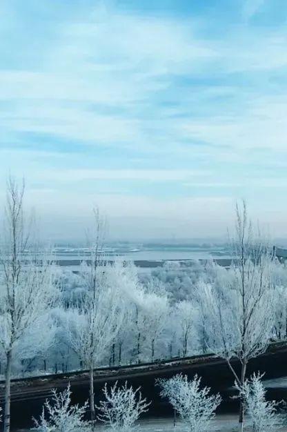 境本定身_境本义_雪之本境