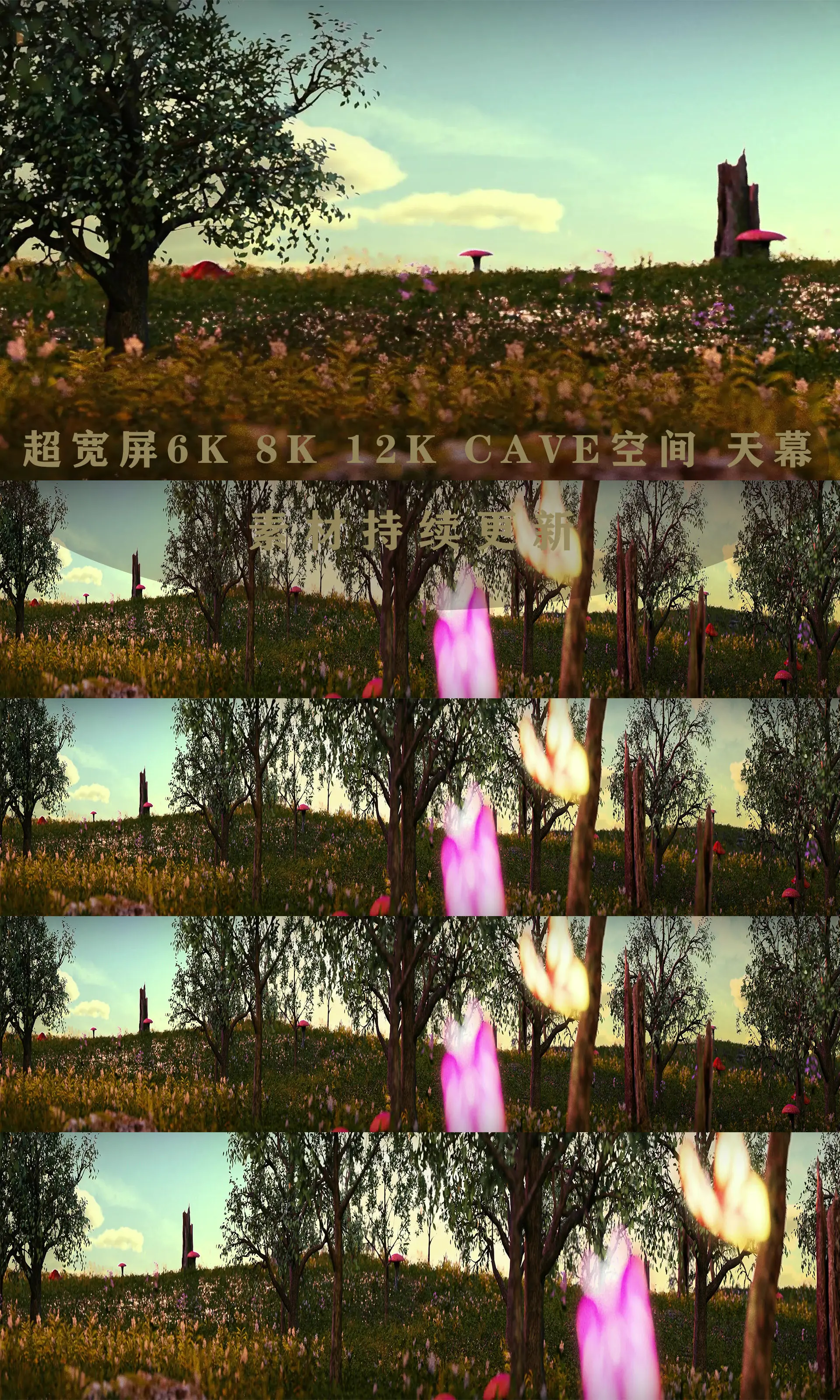 蘑菇免费下载安装_蘑菇视频红色logo_下载蘑菇视频
