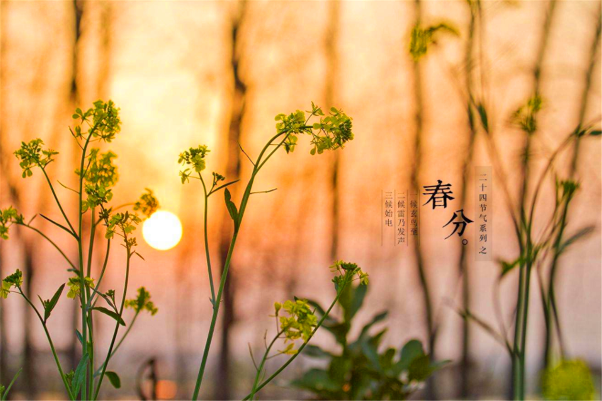 春分节气民俗活动_春分活动策划方案_春分的民俗活动