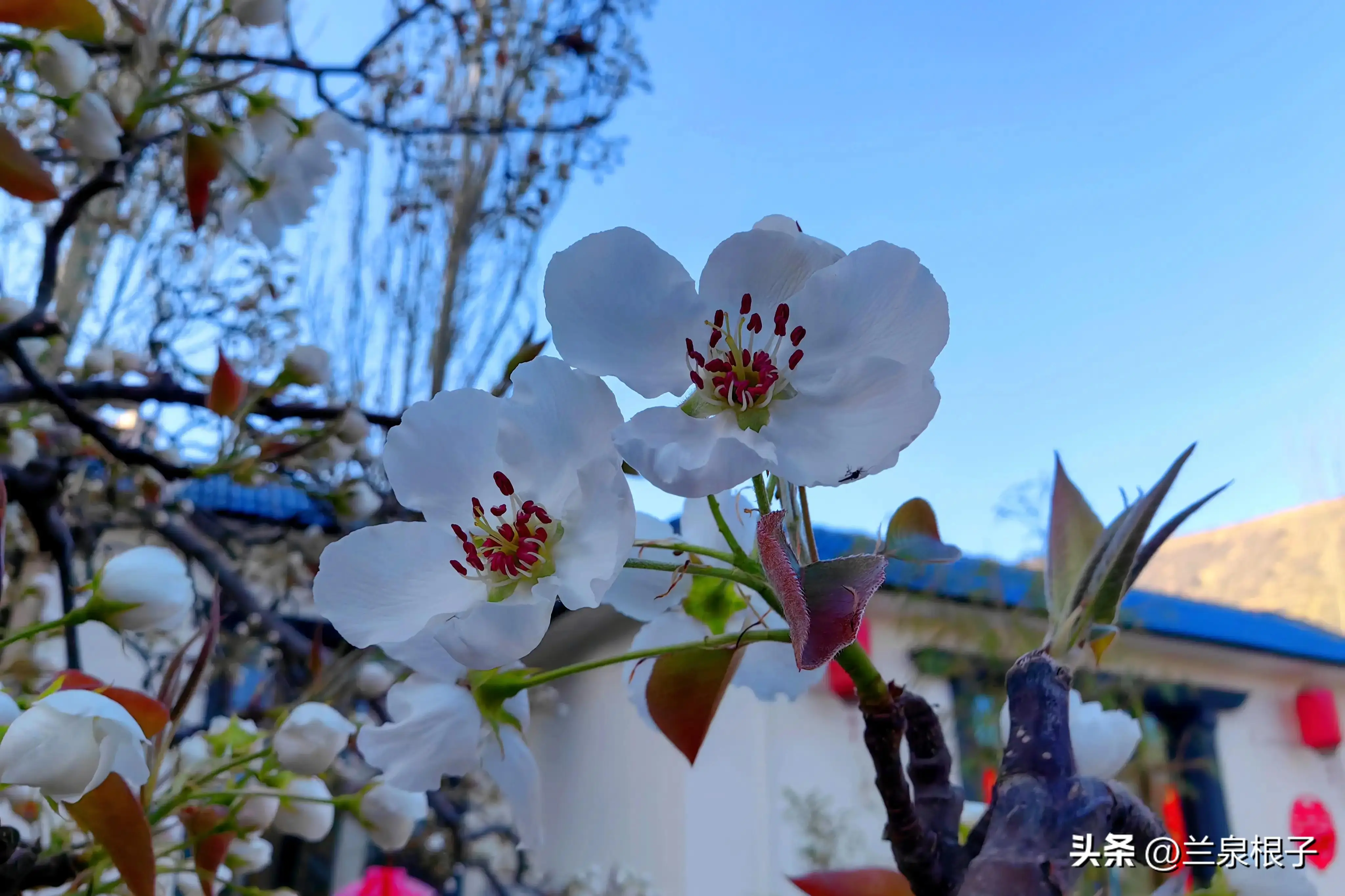 寺庙游戏场景_寺庙大逃亡游戏_游戏手机版寺庙