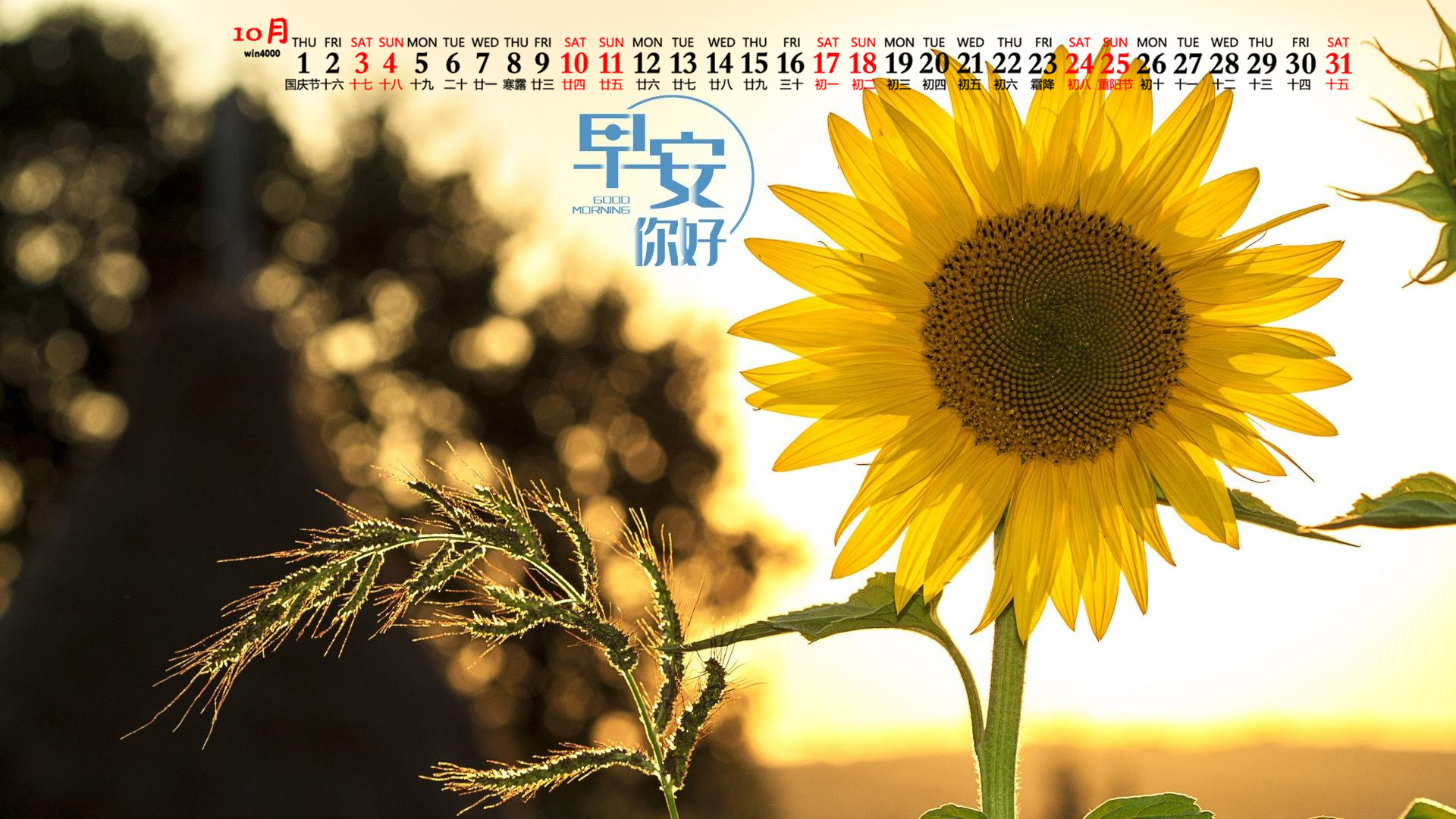 那年有润月年_月年2023年_2020年10月10日