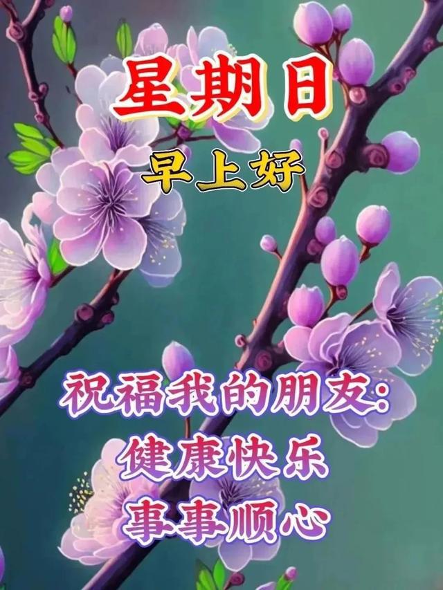 节日是指_8月15是什么节日_节月是什么意思