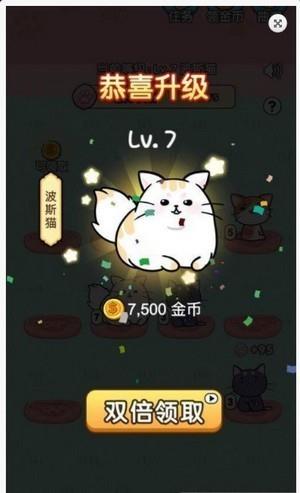 养猫的游戏手机游戏_养猫游戏app_养猫手机游戏下载