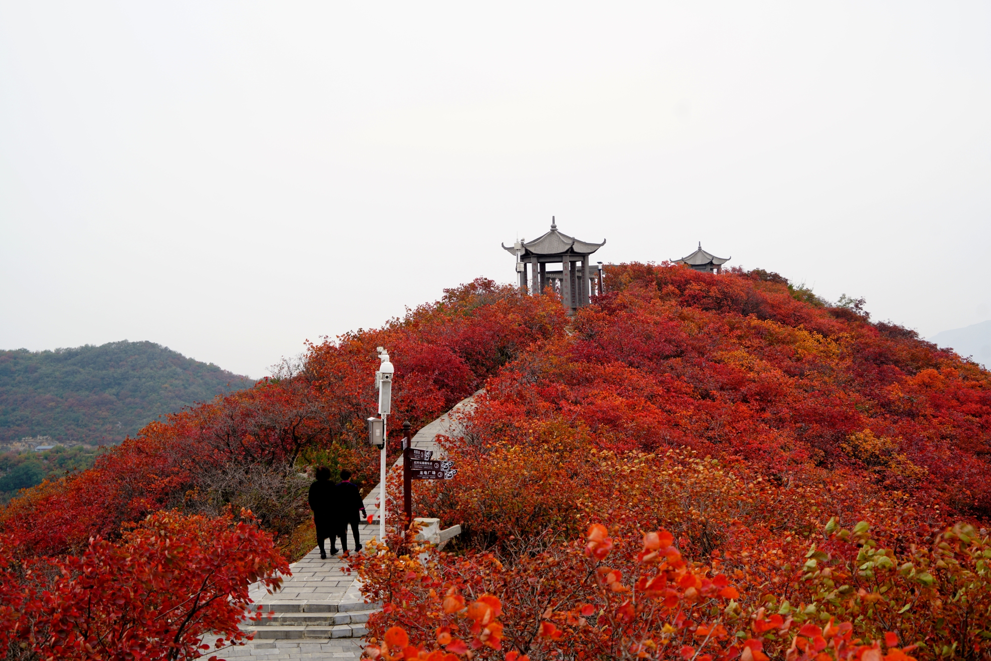洛温_洛温易感期_洛温lofter