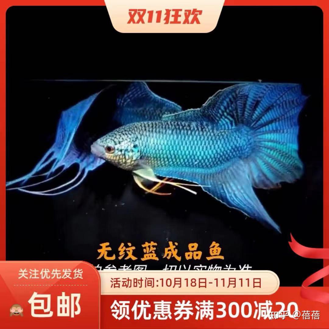 唯美钓鱼ios_唯美养鱼游戏下载苹果手机_唯美钓鱼最新版本