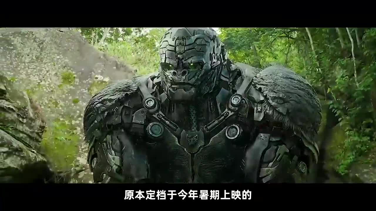 金刚变形金刚电影_金刚变形视频_变形金刚7高清720p在线