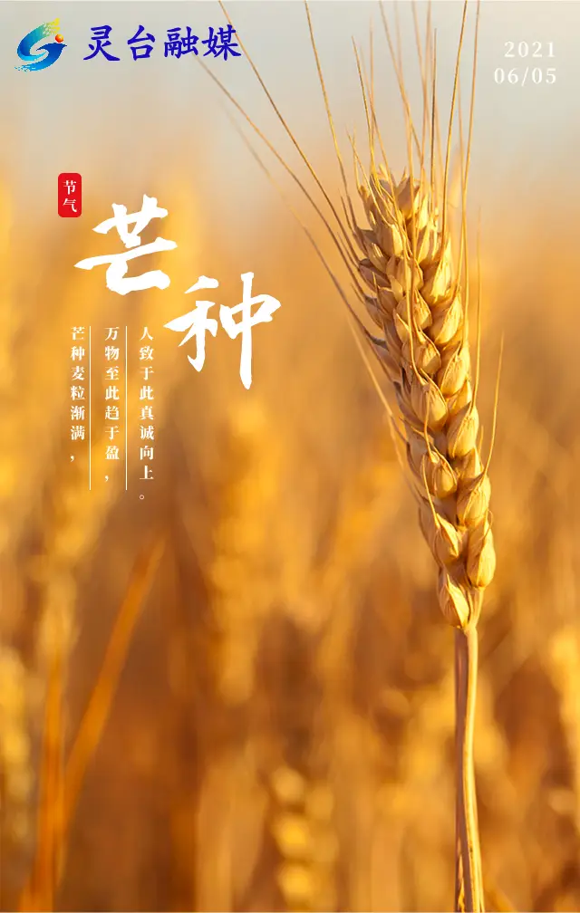 解释一下芒种是什么意思_芒种表示什么意思_芒种是什么意思
