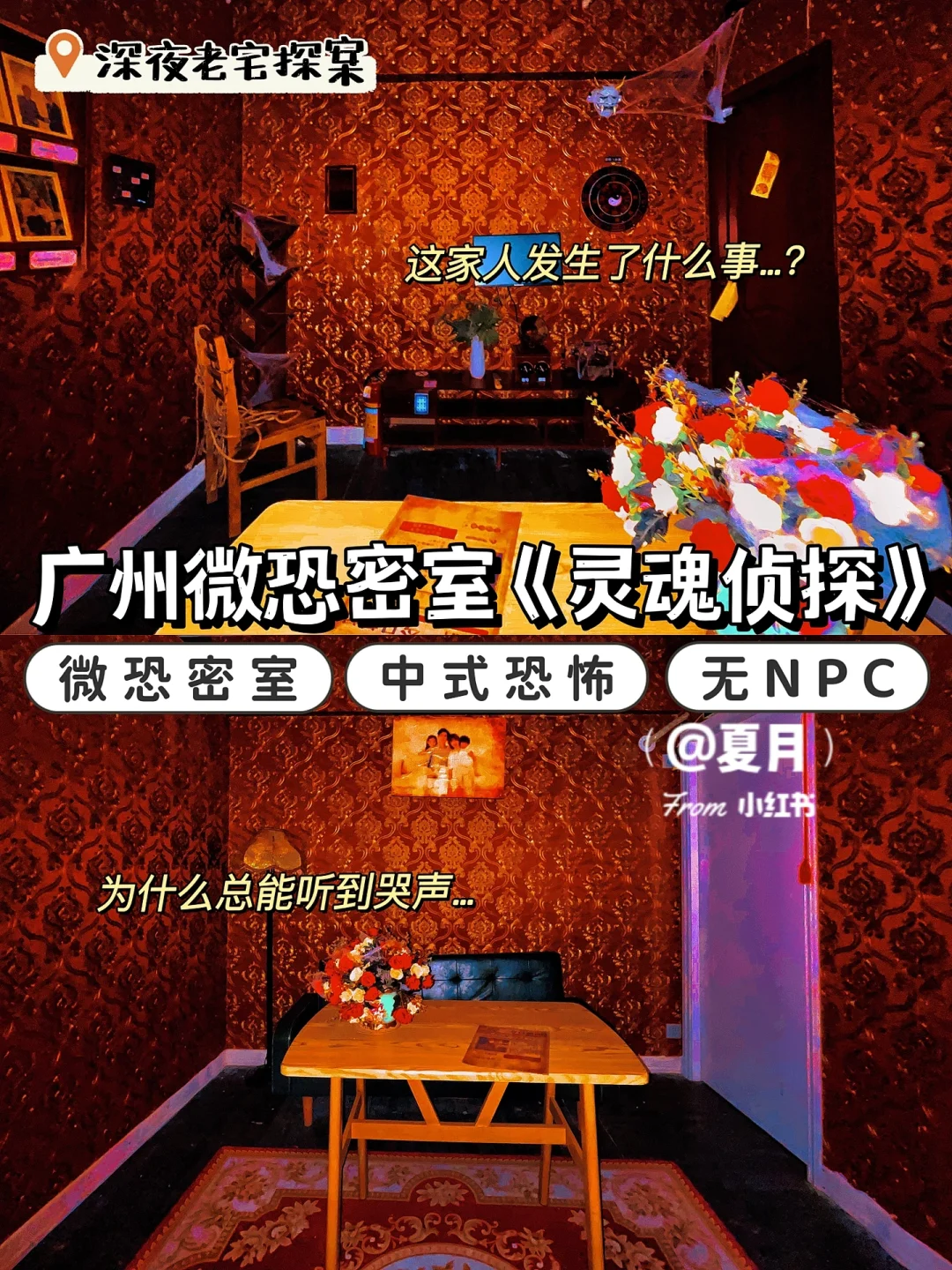 御狐神白鬼院_侠狐义鬼_鬼狐