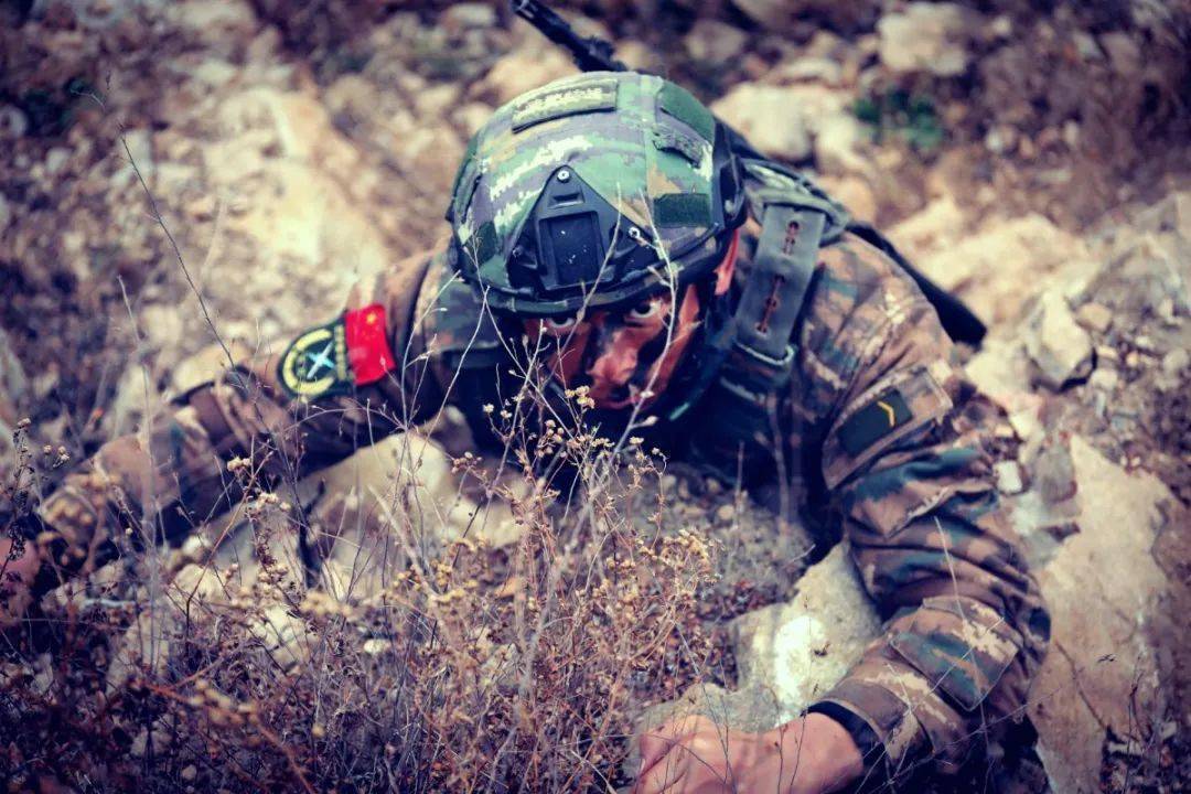 勇者神兵海豹行动怎么玩_勇者行动海豹神兵_海豹神兵英勇行动在线观看
