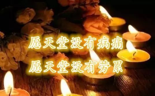 中原子是什么意思_中原芽衣子_本间芽衣子h本子