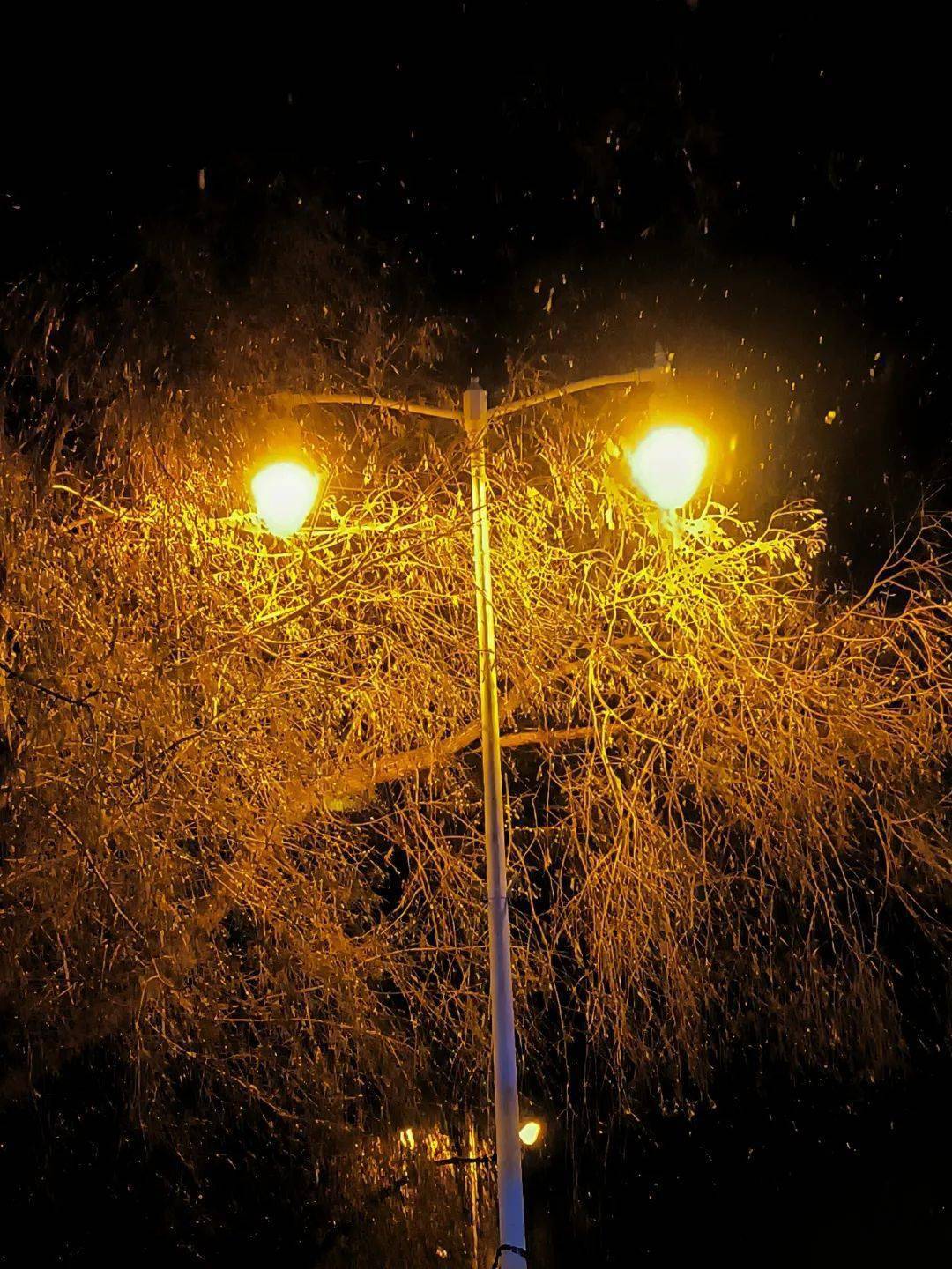 雪风_雪风号_雪风碧蓝航线